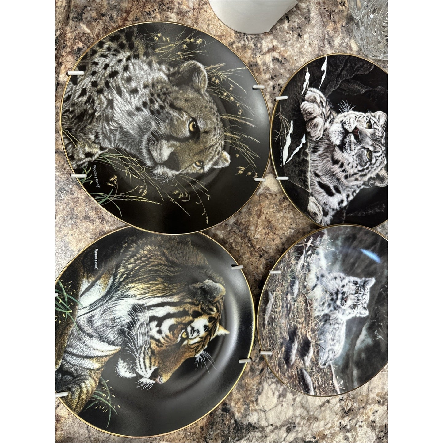 The Hamilton Collection Nature's Majestic Cats Collector's 4 Plates