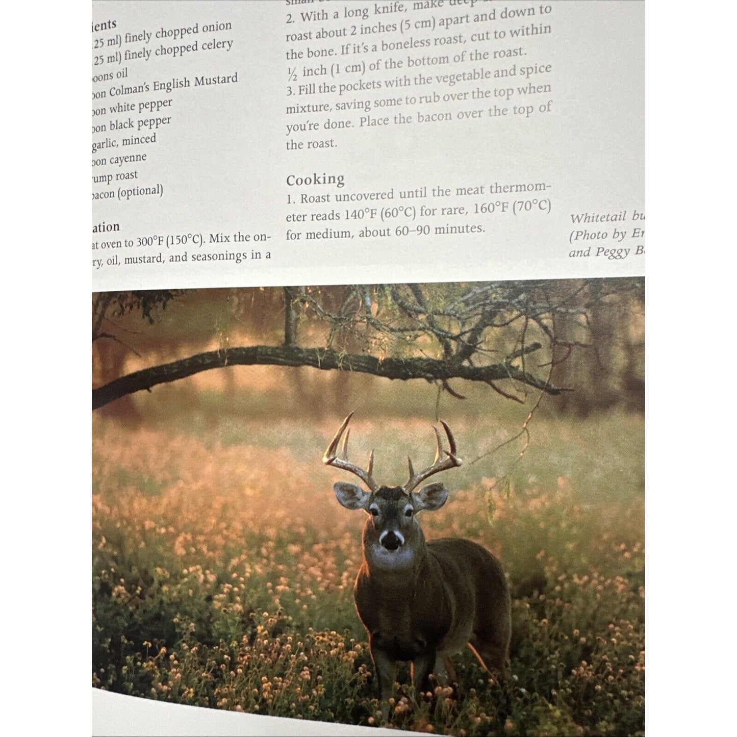 The Art of Wild Game Cooking by E. Clarke & Sil Strung Hardback Cookbook 1995