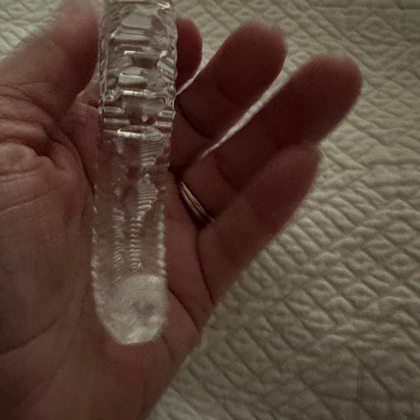 waterford crystal seahorse paper weight