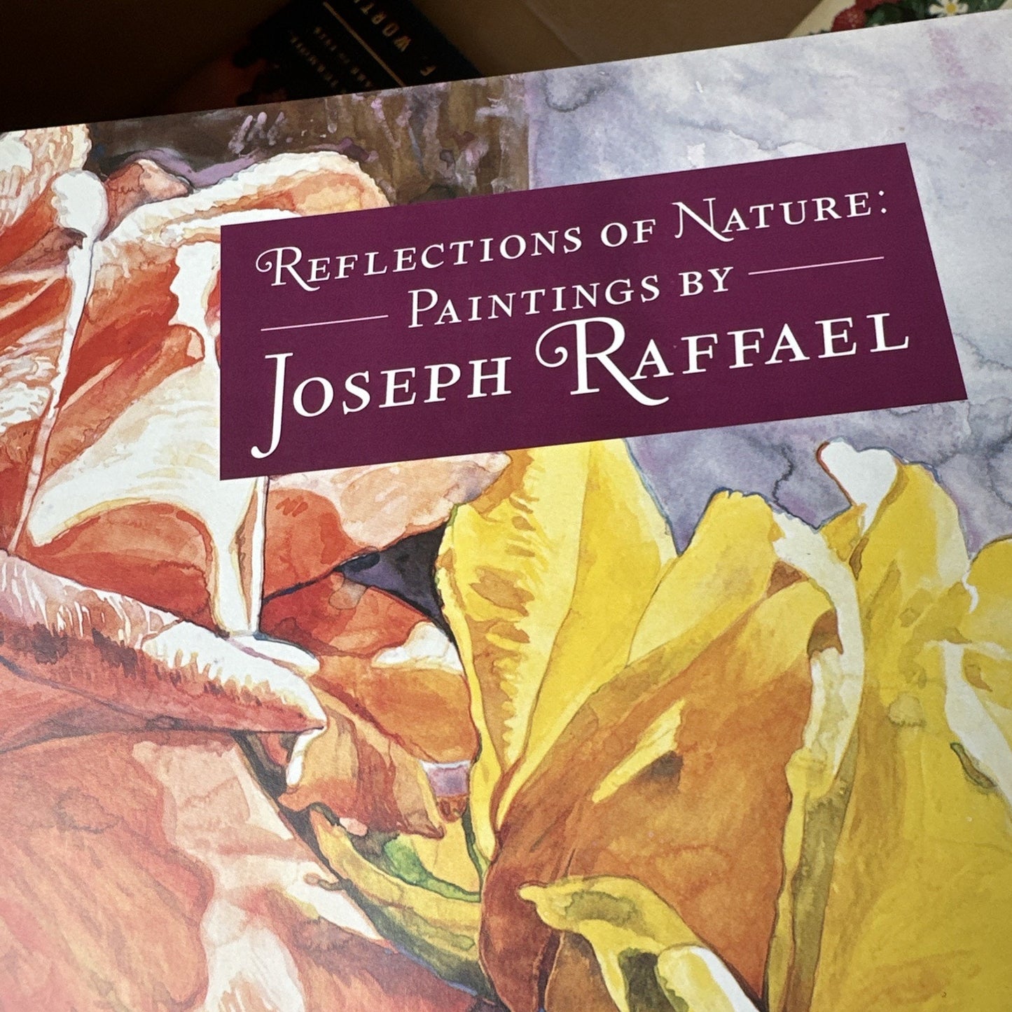 Reflections of Nature: Paintings by Joseph Raffael by Wallach