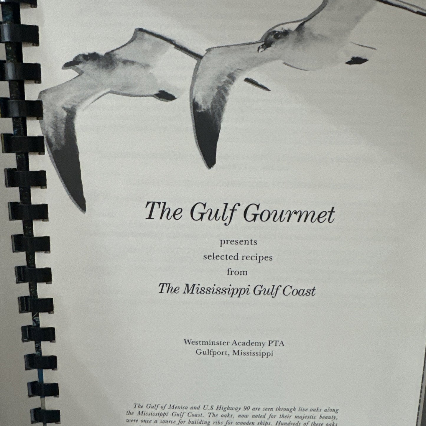The Gulf Gourmet Recipes From The Mississippi Coast