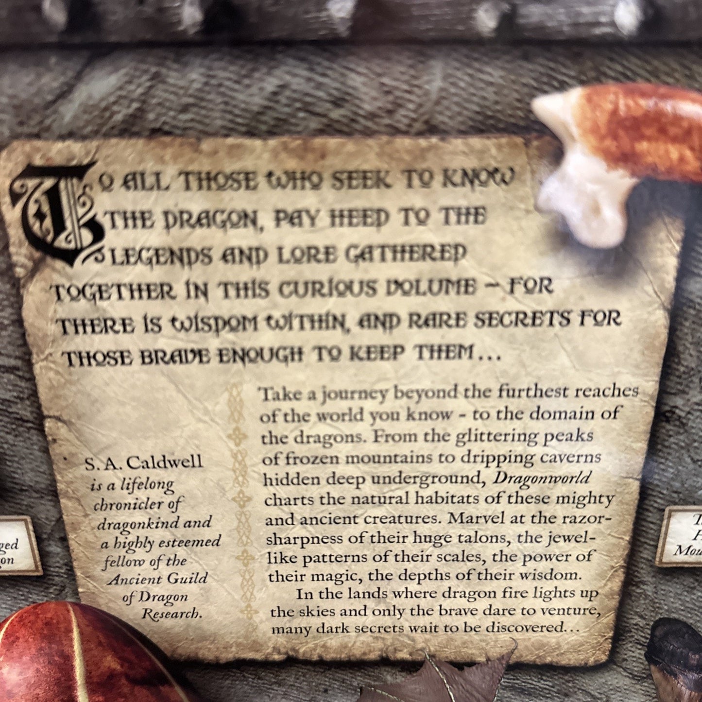 Dragon World Book