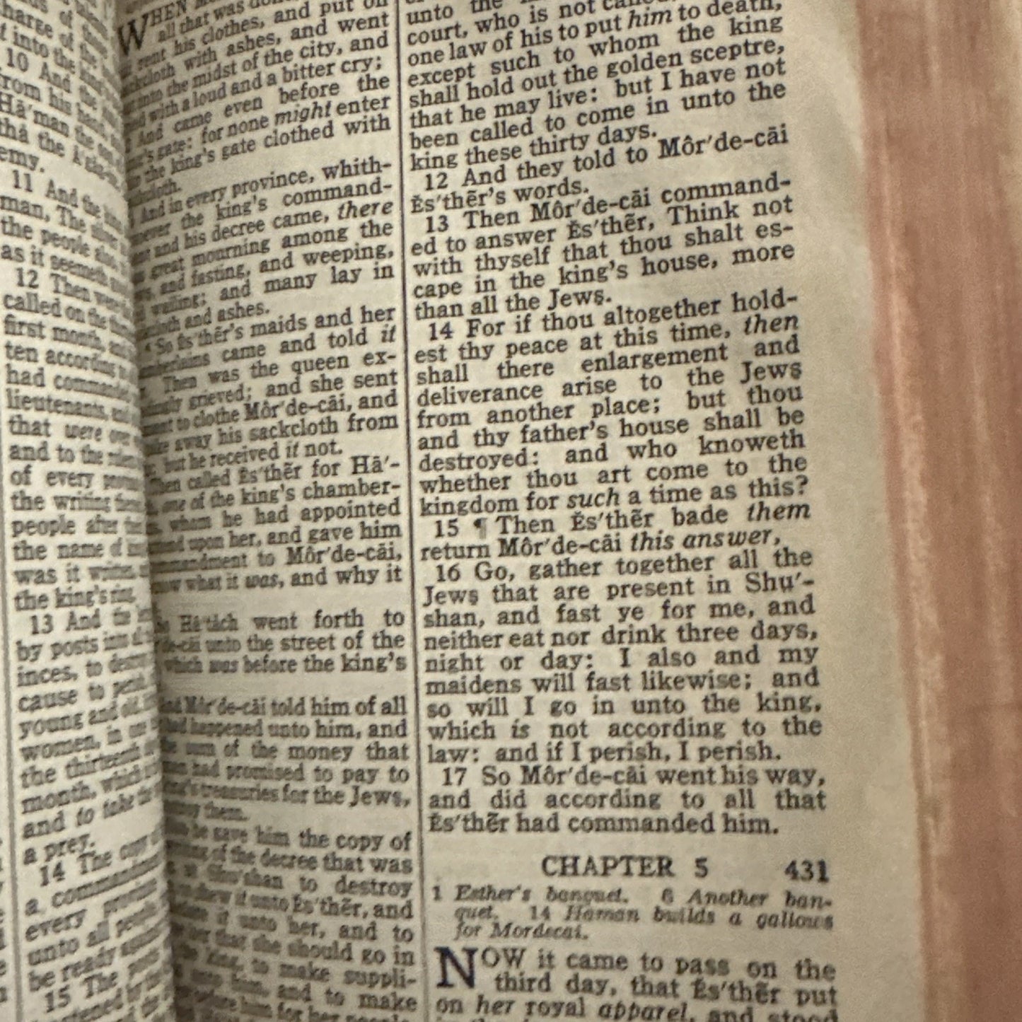 Vintage Thomas Nelson Holy Bible KJV King James Version Illustrated Pronouncing