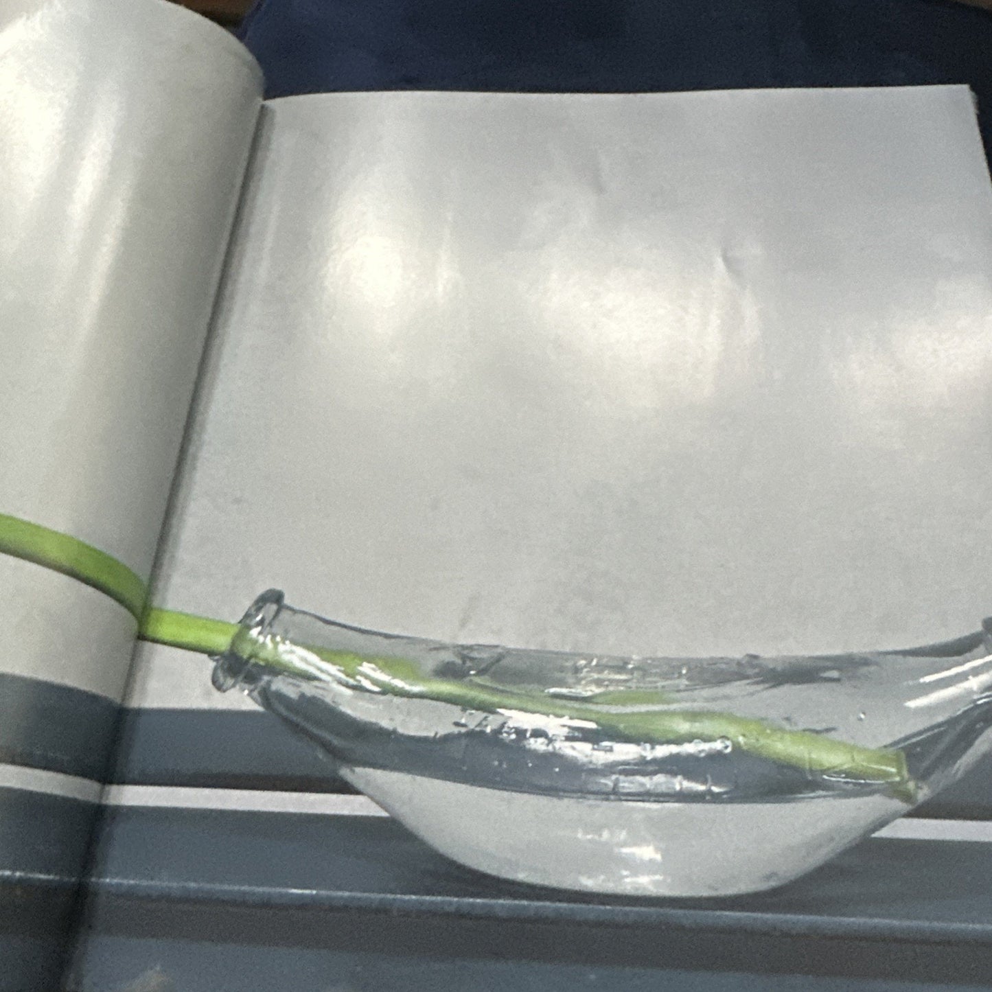 Everyday Things Glass HC Book by Slesin, Rozensztroch, Cliff - Coffee Table Book