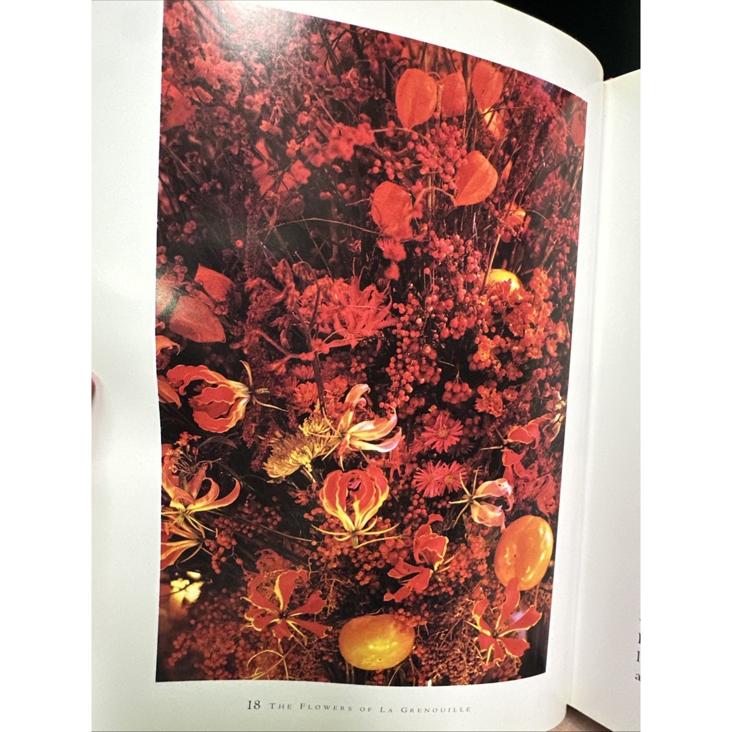 The Flowers of La Grenouille - Hardcover By Masson, Charles - GOOD