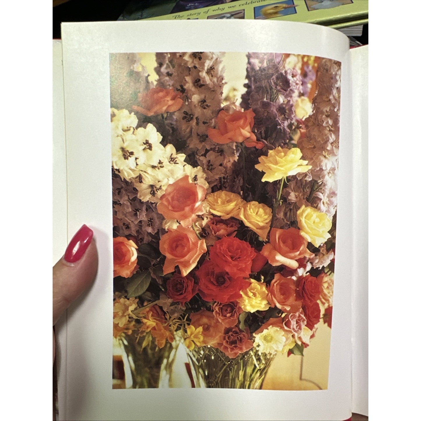 The Flowers of La Grenouille - Hardcover By Masson, Charles - GOOD