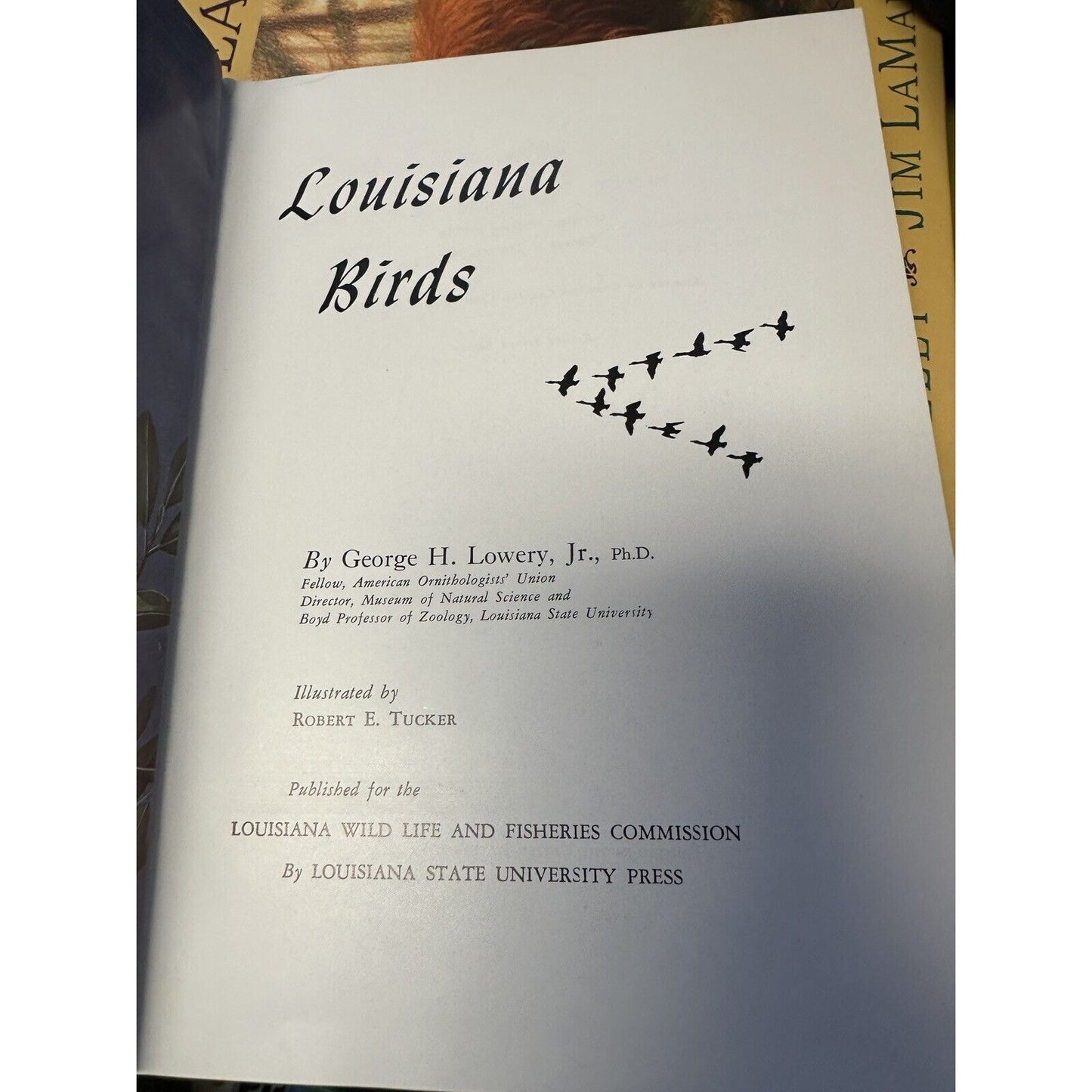 Louisiana Birds George Lowery 2nd Revised Edition Hardcover
