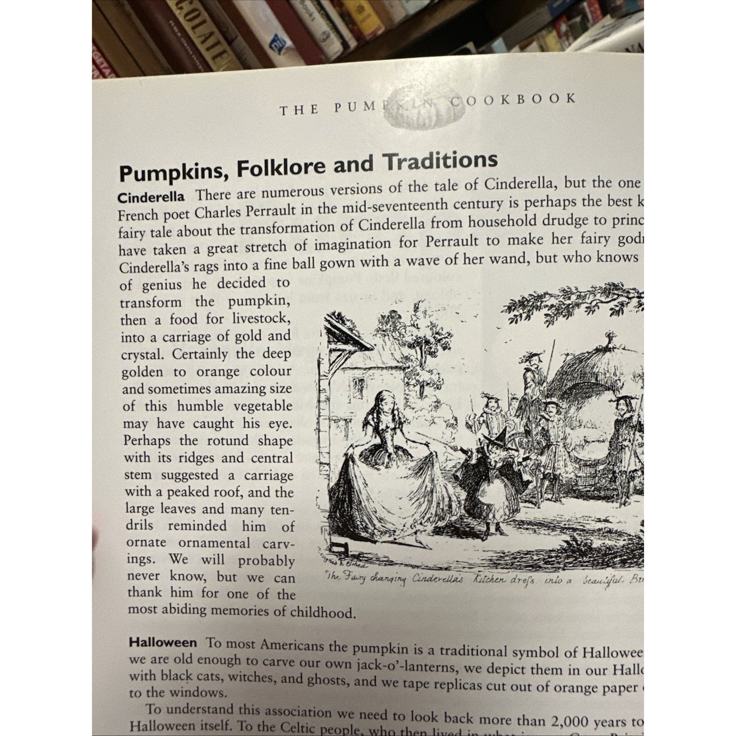The Pumpkin Cookbook - Like New
