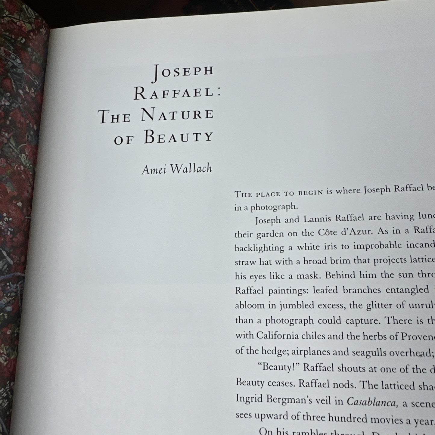 Reflections of Nature: Paintings by Joseph Raffael by Wallach