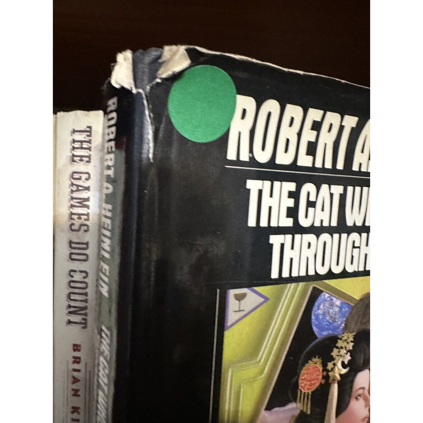 The Cat Who Walks Through Walls by Robert A. Heinlein First Edition 1st Print