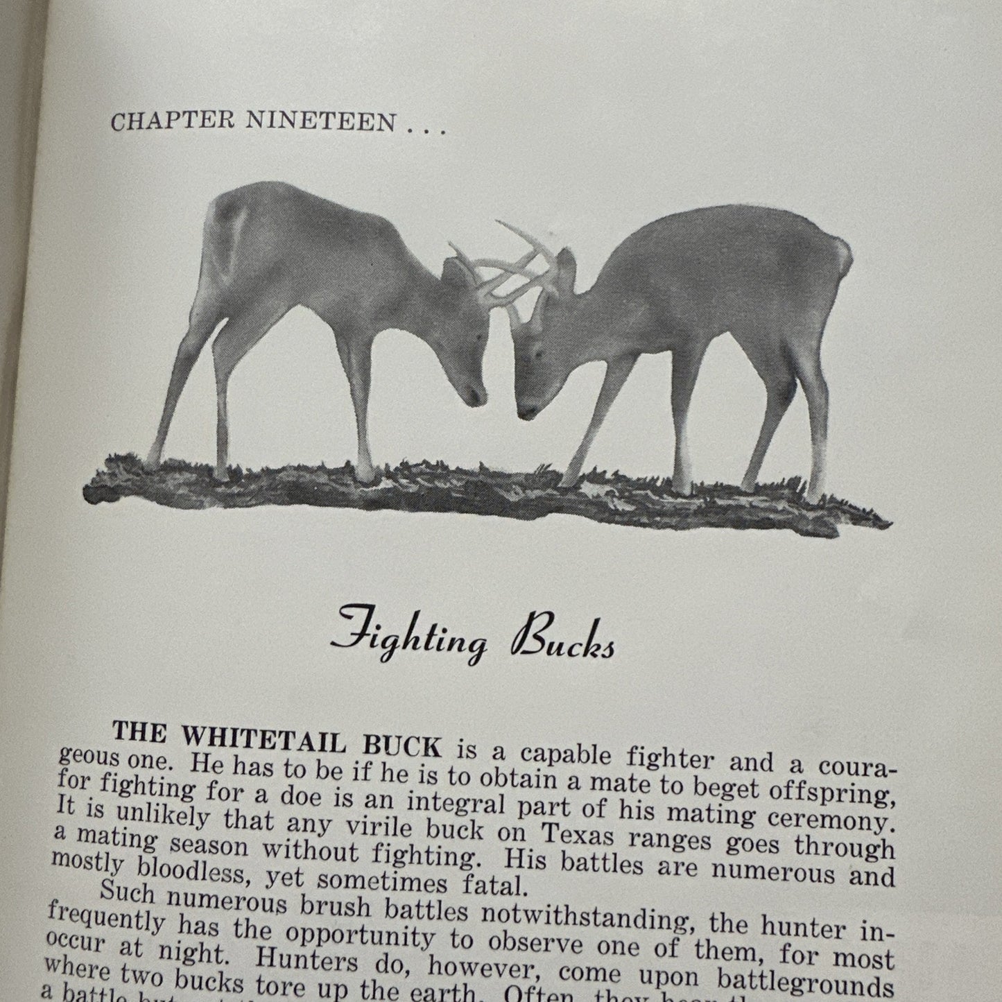 Hunting the White-Tailed Deer In Texas - Weston (1954)