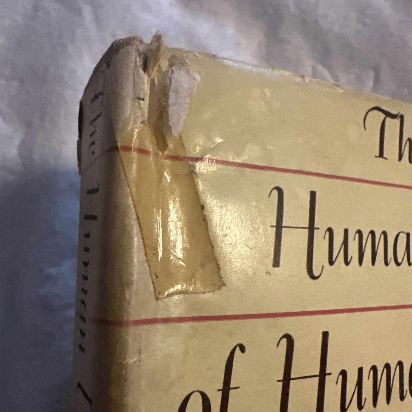 The Human Use of Human Beings by Norbert Wiener (1950) Rare