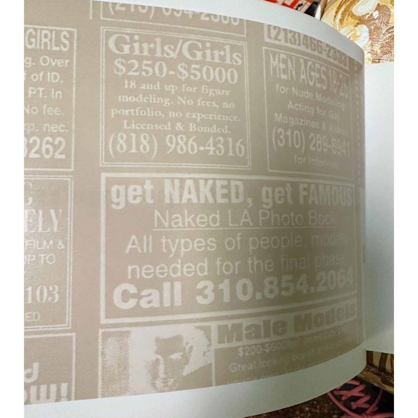 Naked Los Angeles Book