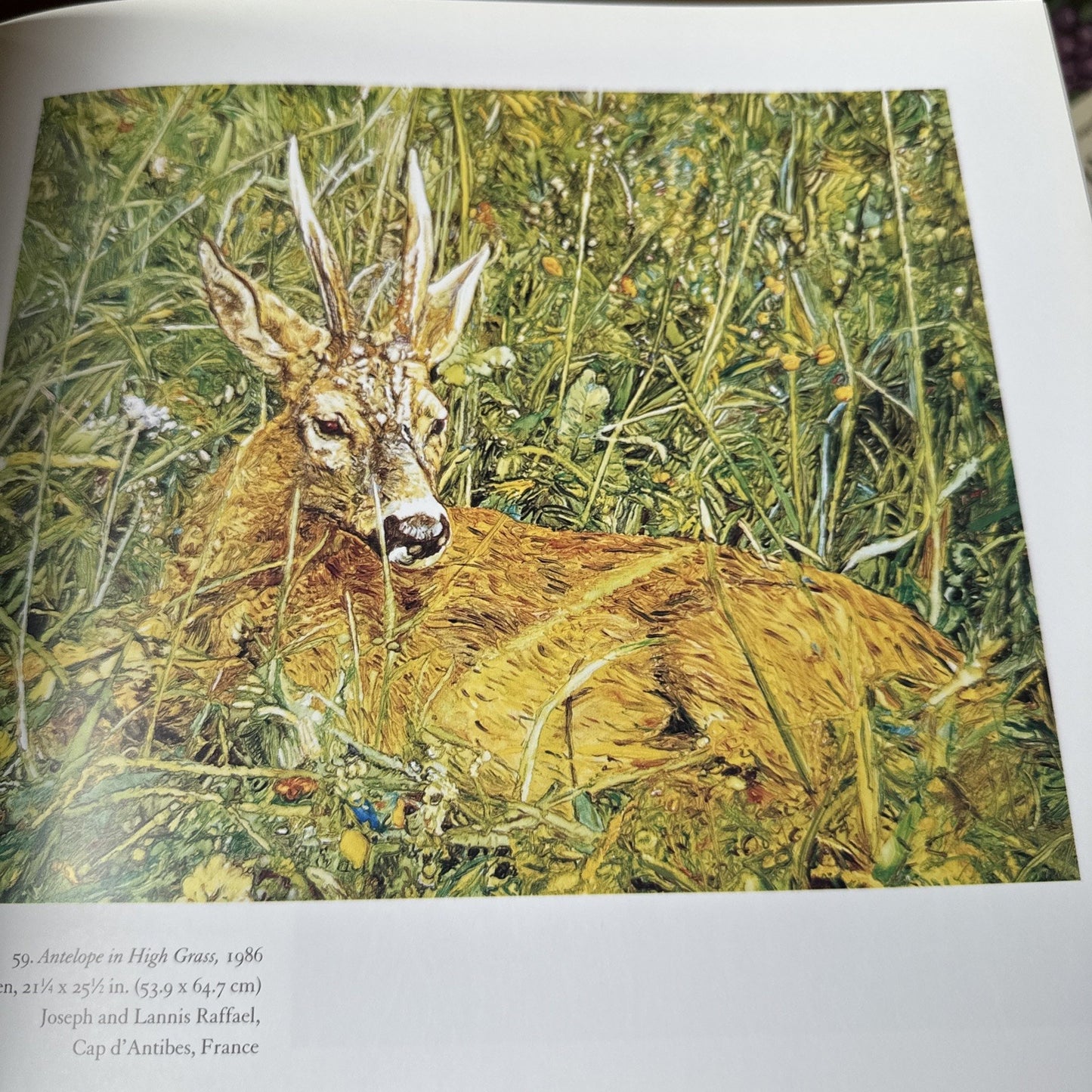 Reflections of Nature: Paintings by Joseph Raffael by Wallach