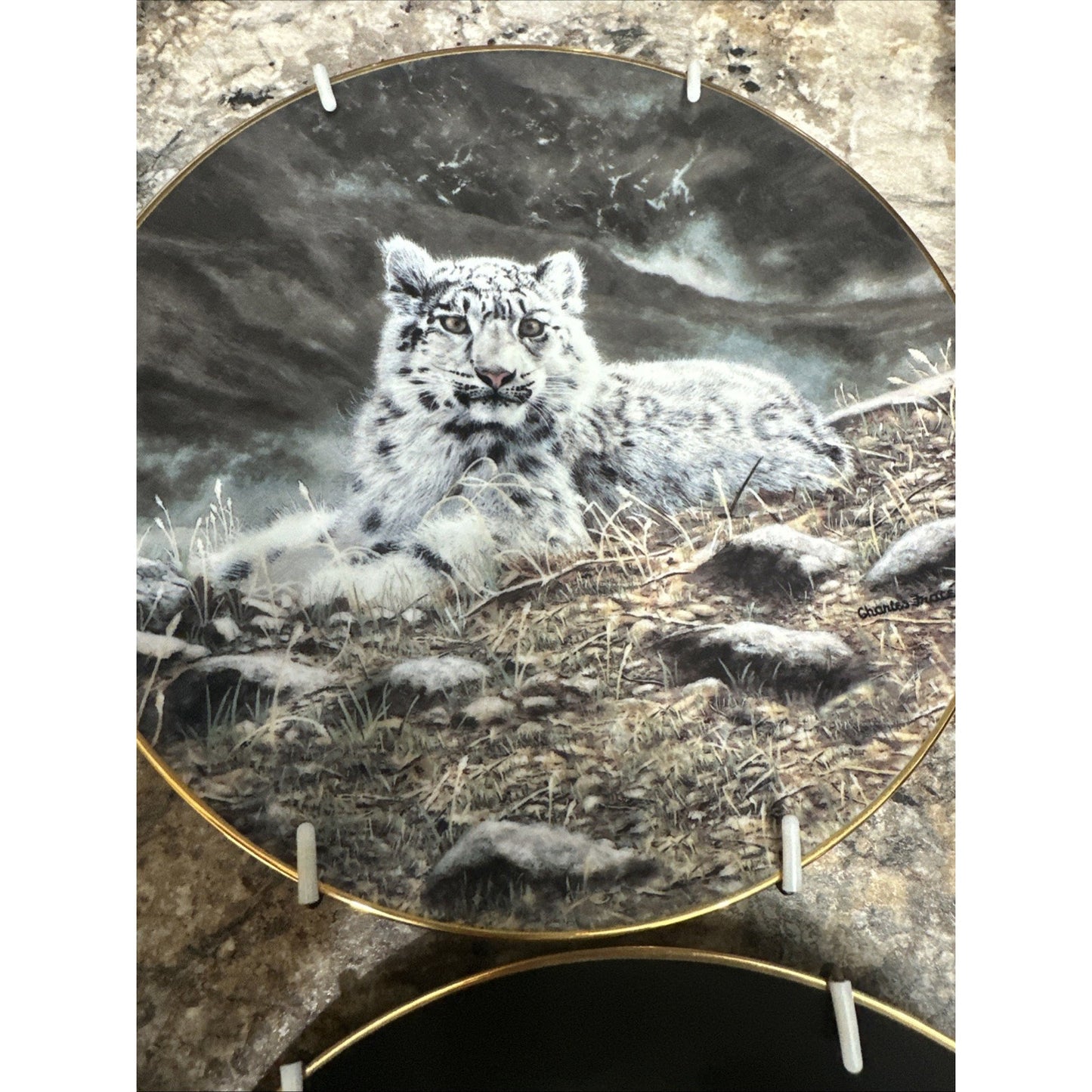 The Hamilton Collection Nature's Majestic Cats Collector's 4 Plates