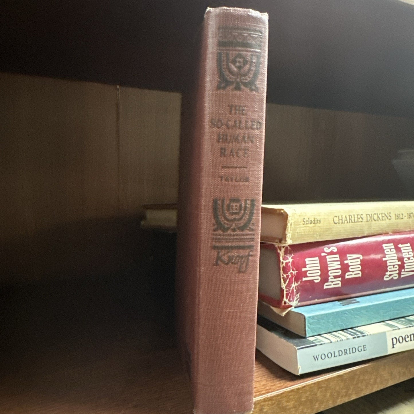 The So Called Human Race by Bert Leston Taylor, 1924 Hardcover