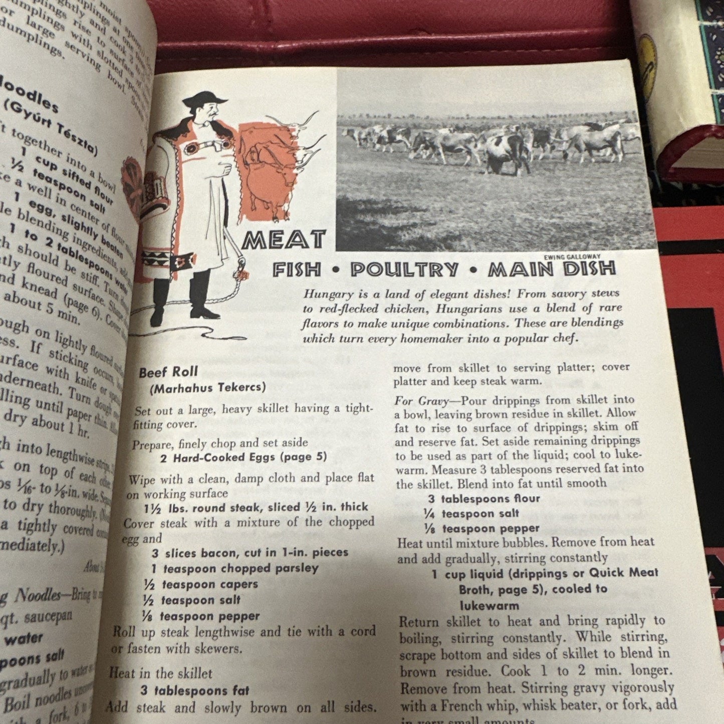 The Hungarian Cookbook 1965 Vintage 151 Recipes illustrated by Kay Lovelace