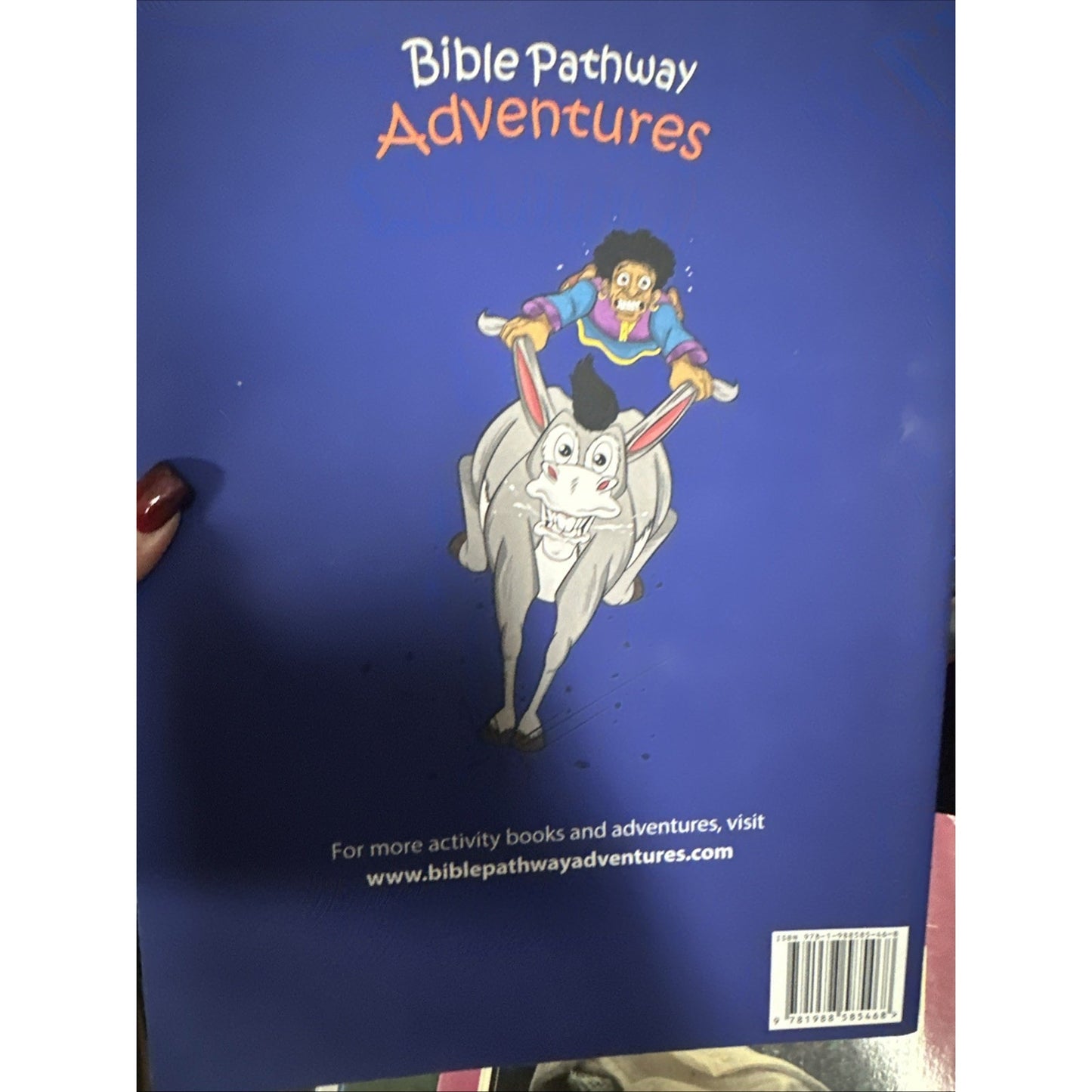 Miracles Of The Bible Activity Book Bible Pathway Adventure - New