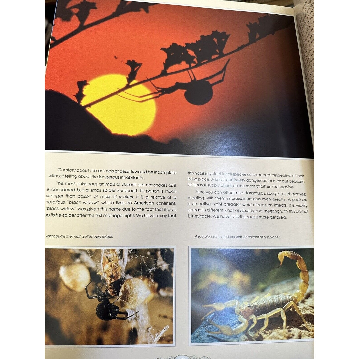 The Land of Enchanted Horizons (Hardcover)Published by PERKAZAKHSTAN