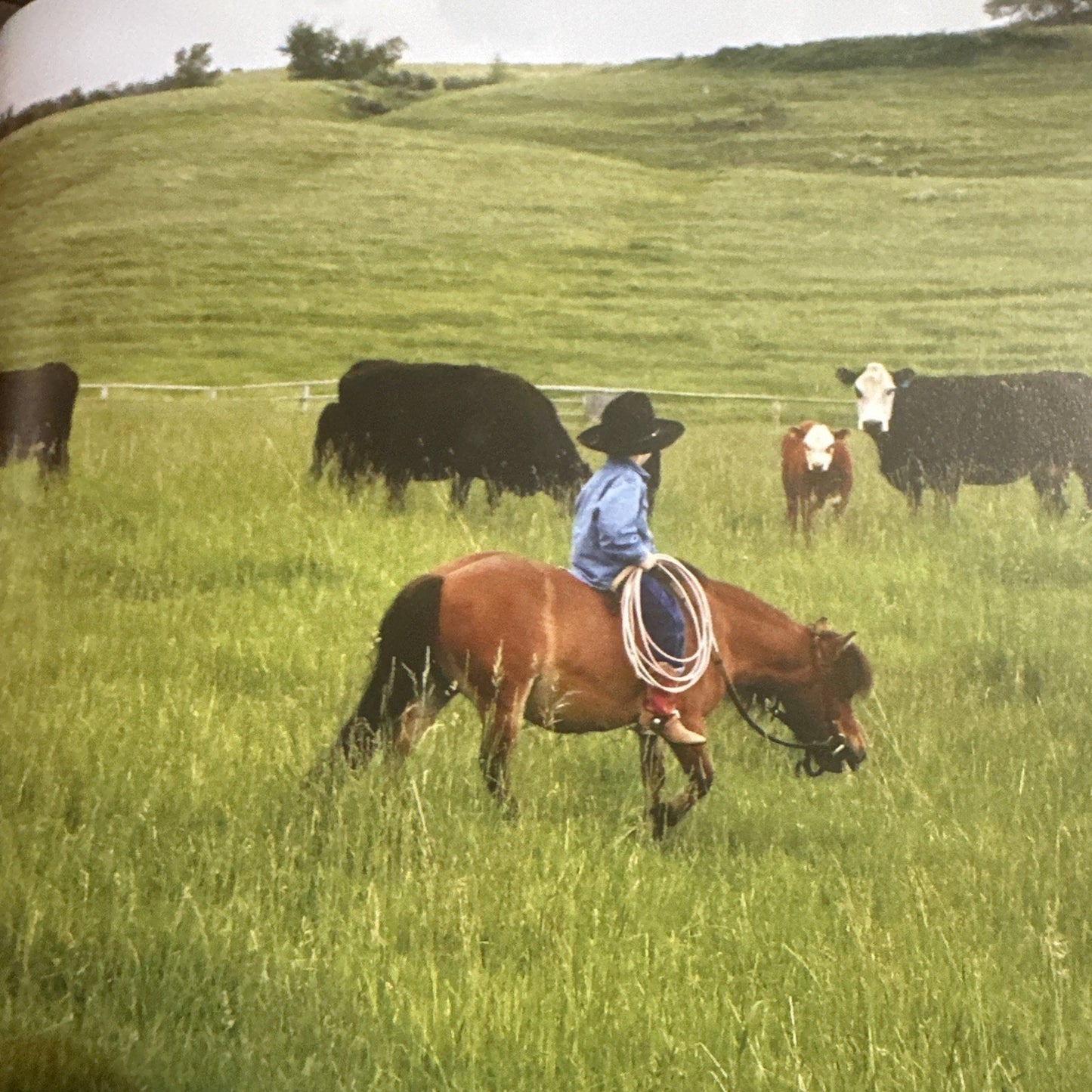 Tex : A Book for Little Dreamers Hardcover Dorie McCullough Lawson Signed