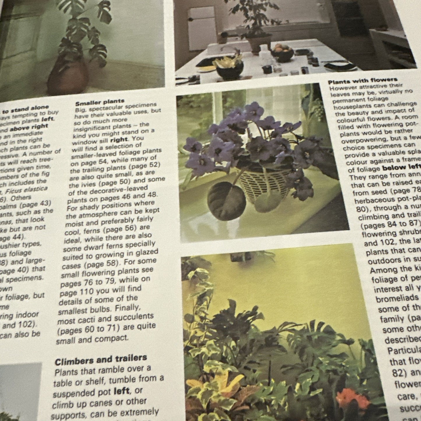 The Complete Indoor Gardner Revised Edition Edited by Michael Wright