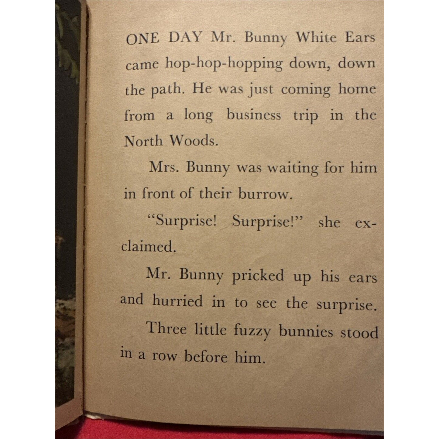 Three Little Bunnies : A Real Live Animal Book. Tip-Top Elf Book by Ruth Dixon