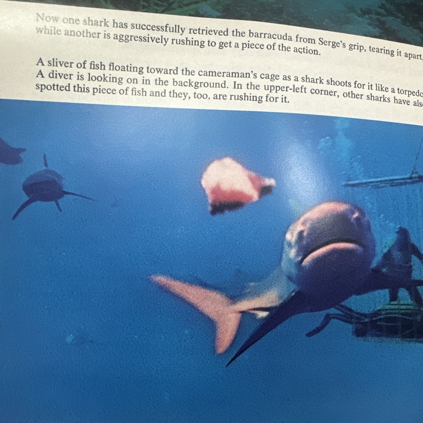 The Shark - Jacques-Yves Cousteau (Dust Jacket, 1970)