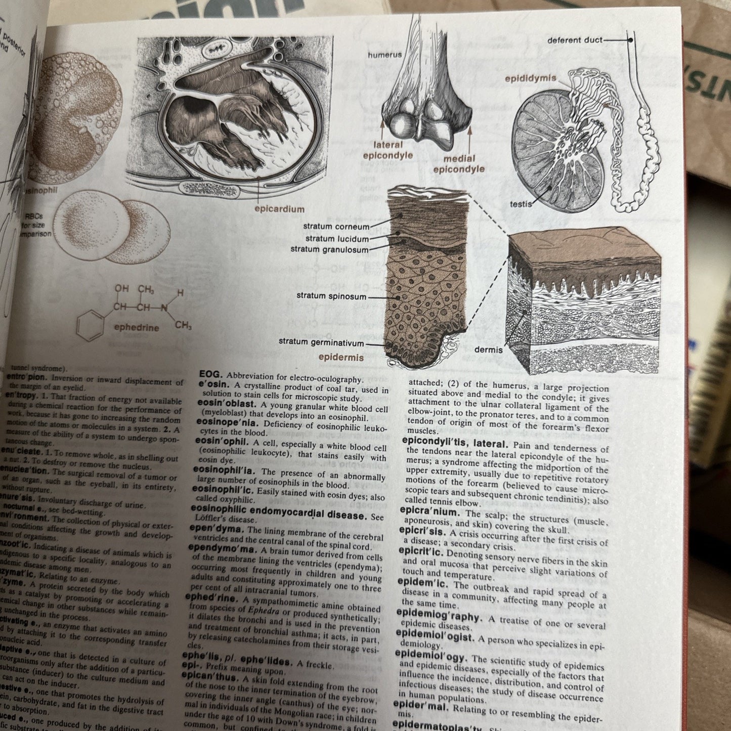 Melloni's Illustrated Medical Dictionary Dox Melloni Eisne 1979 Hardcover Book