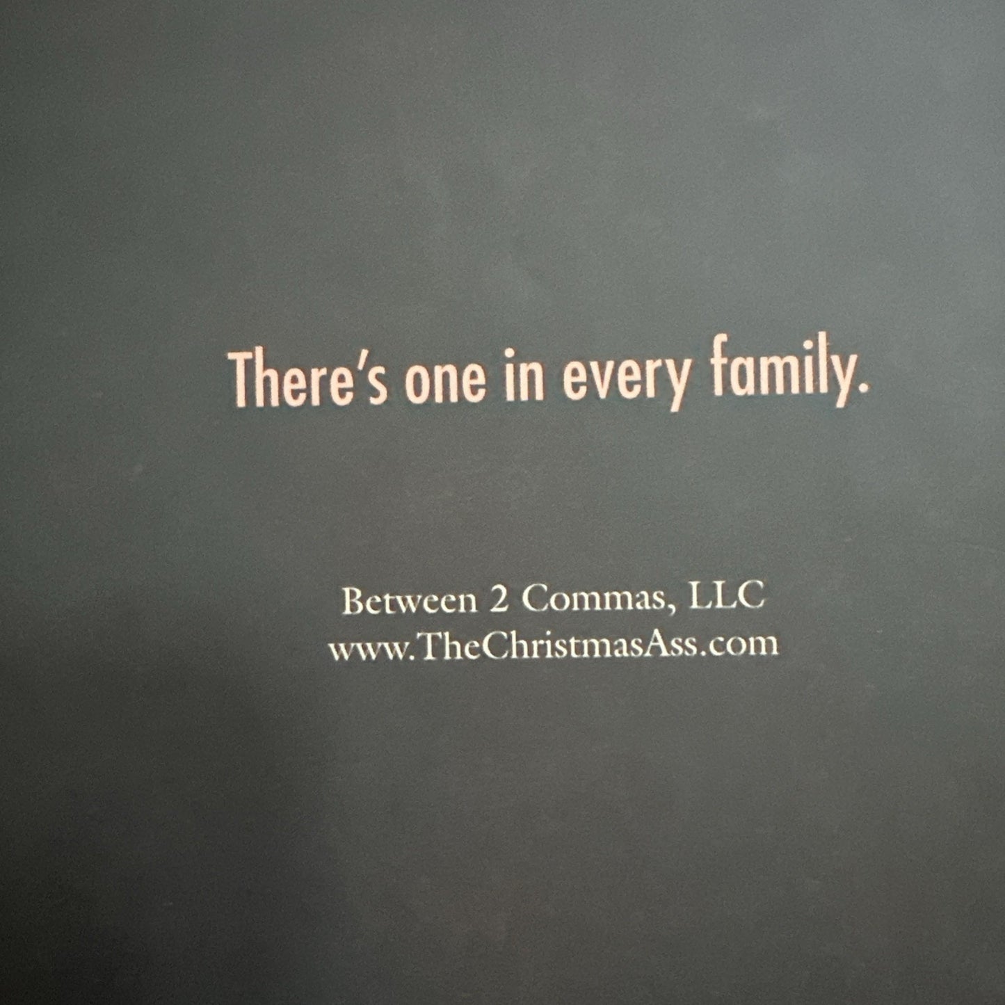 The Christmas Ass by Jana Enloe (2020, Hardcover) excellent condition