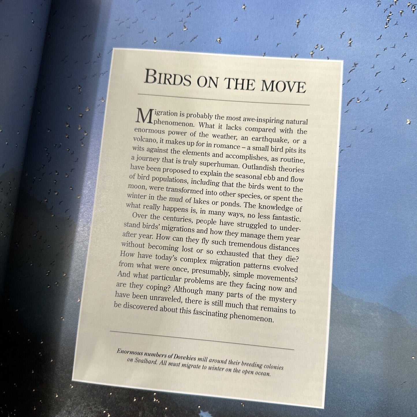 The Random House: Atlas of Bird Migration, Exceptional Condition