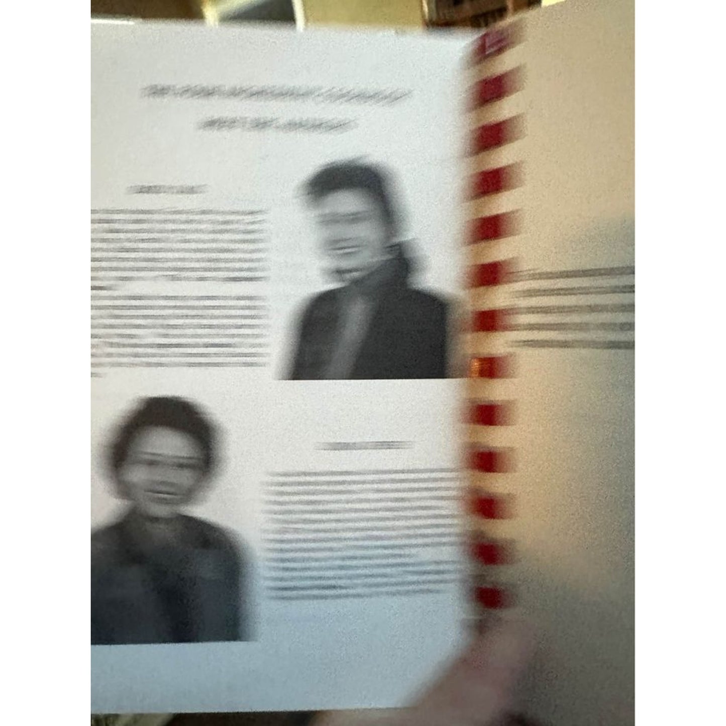 The Four Ingredient Cookbook
