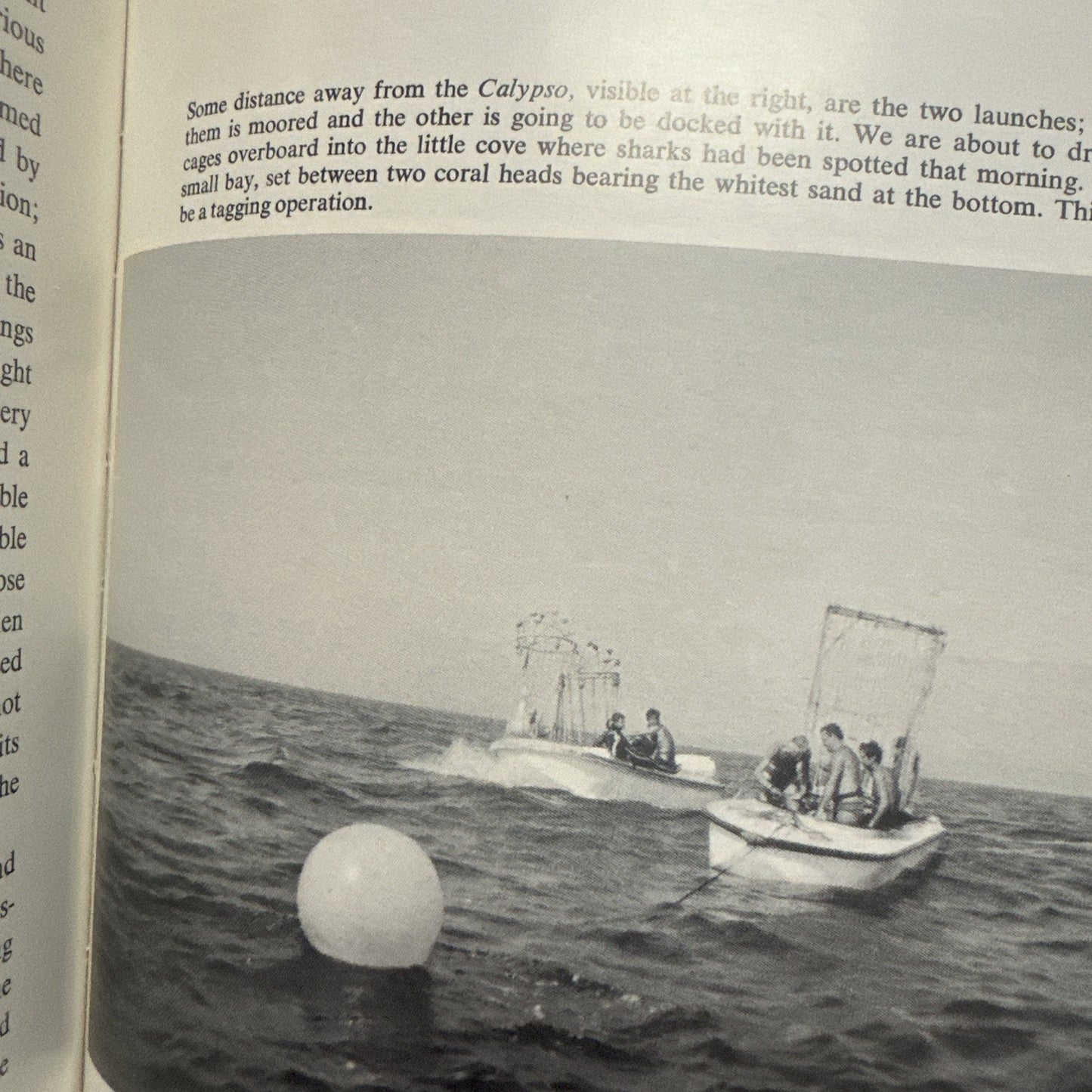 The Shark - Jacques-Yves Cousteau (Dust Jacket, 1970)
