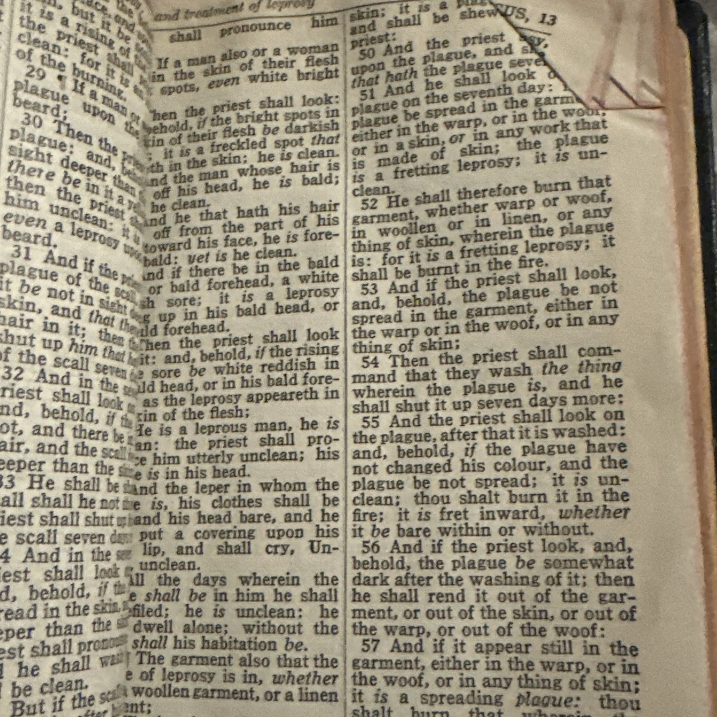 Vintage Thomas Nelson Holy Bible KJV King James Version Illustrated Pronouncing