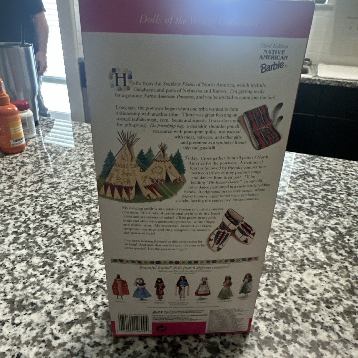 1994 Mattel Barbie Dolls Of The World Native American Third Edition