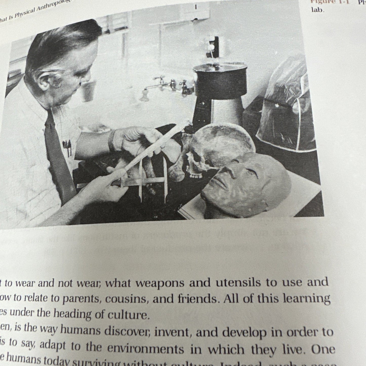 Introduction To Physical Anthropology 3rd Edition Vintage