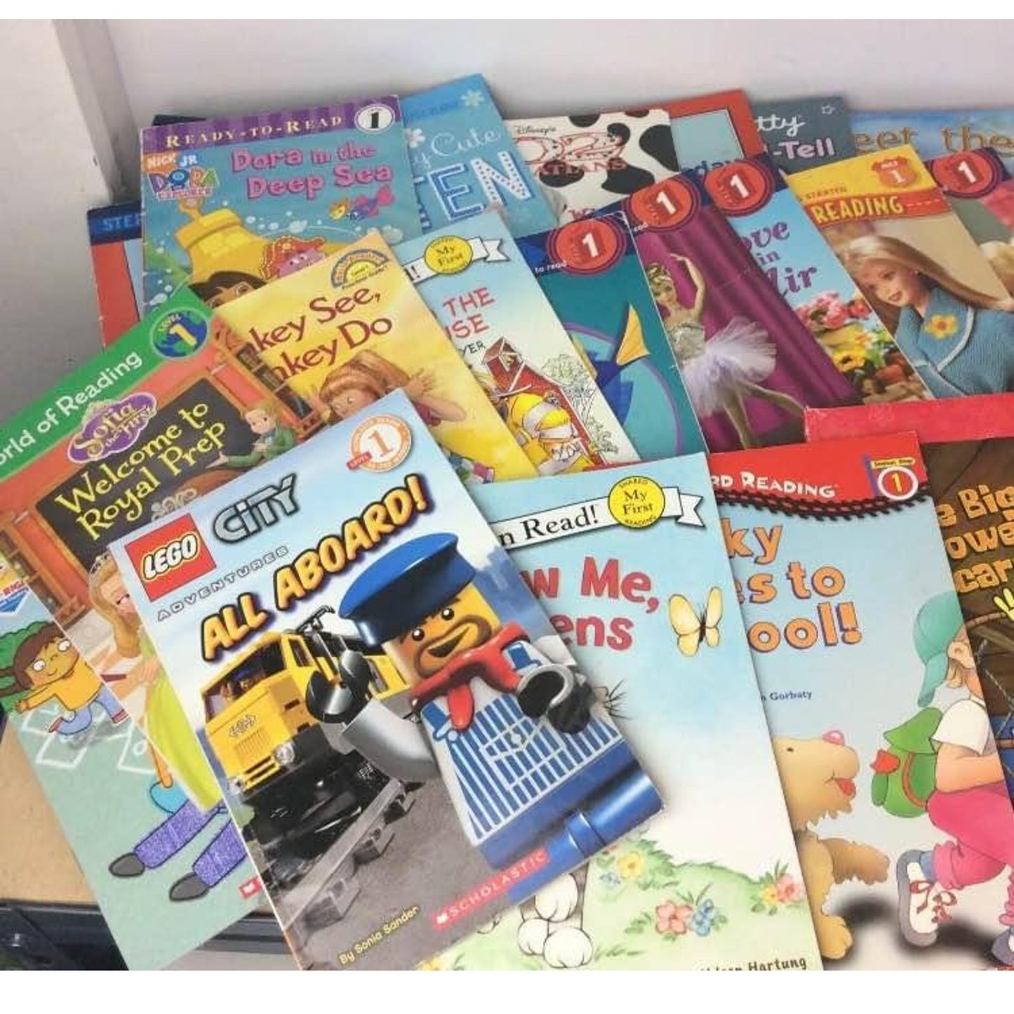 I can read 20 books mixed lot
