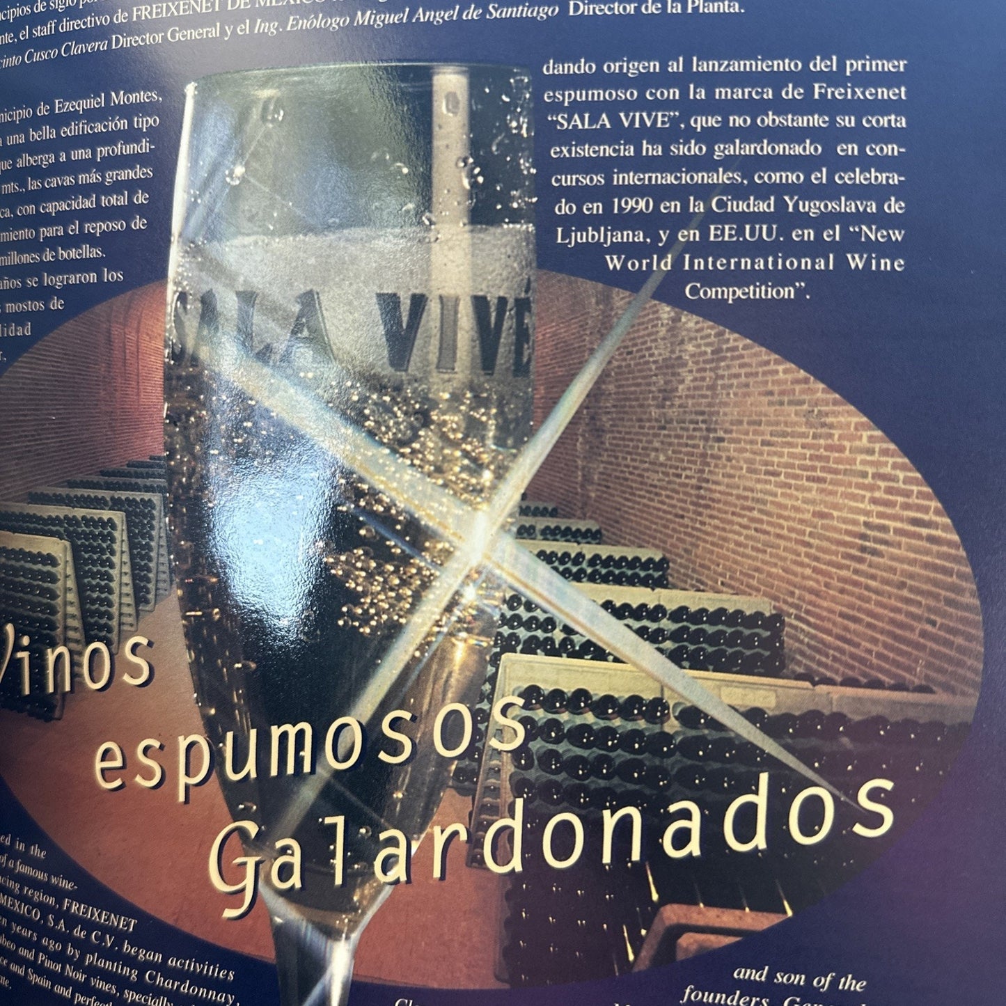 Estado De Queretaro 1993 Grupo Editorial Proyección de México Hardcover