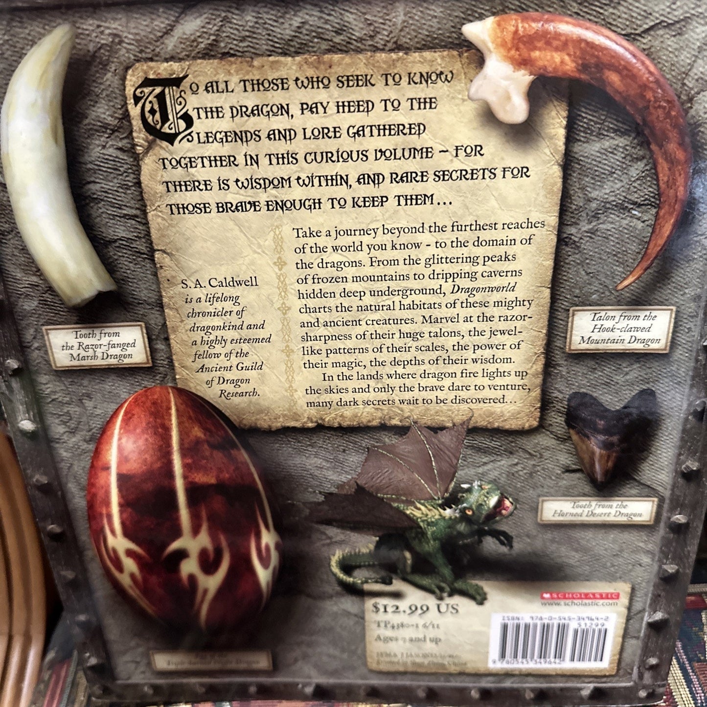 Dragon World Book