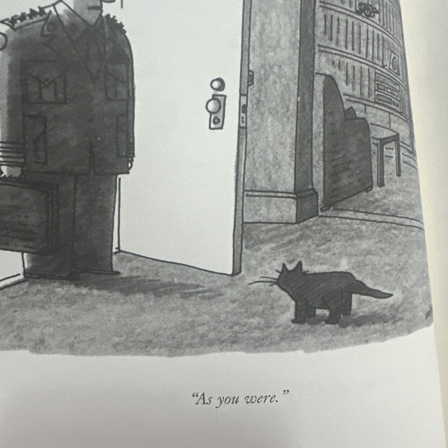 The New Yorker Book of all-new cat cartoons