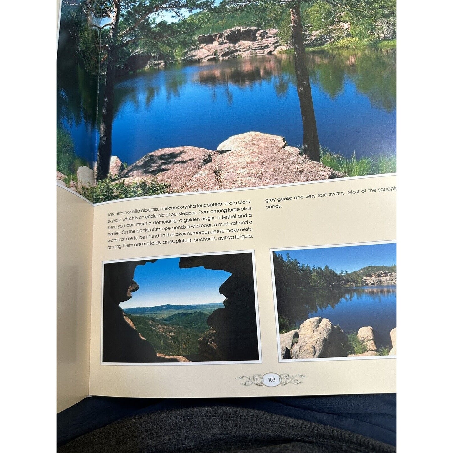 The Land of Enchanted Horizons (Hardcover)Published by PERKAZAKHSTAN