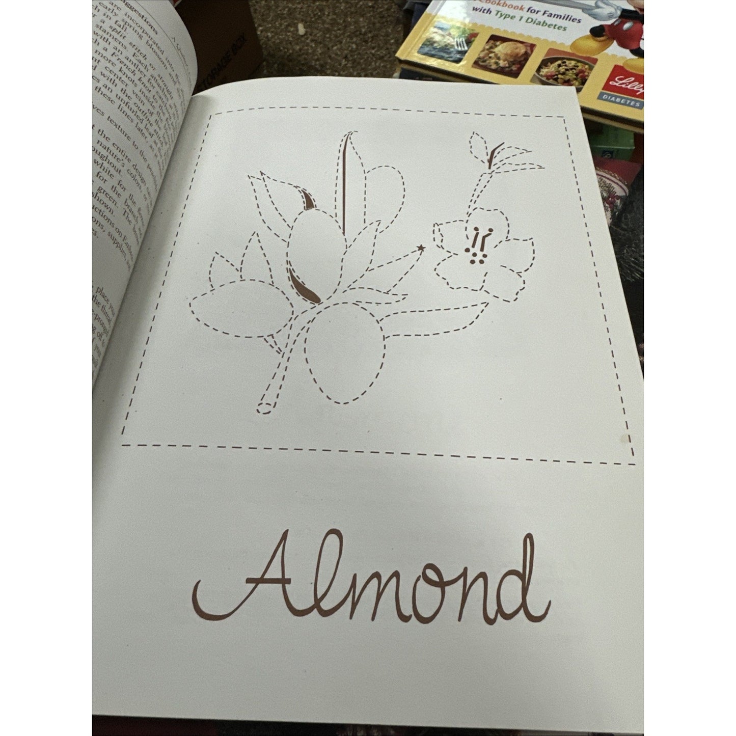 A Quilter's Garden : From Plants of the Holy Land Paperback Helen