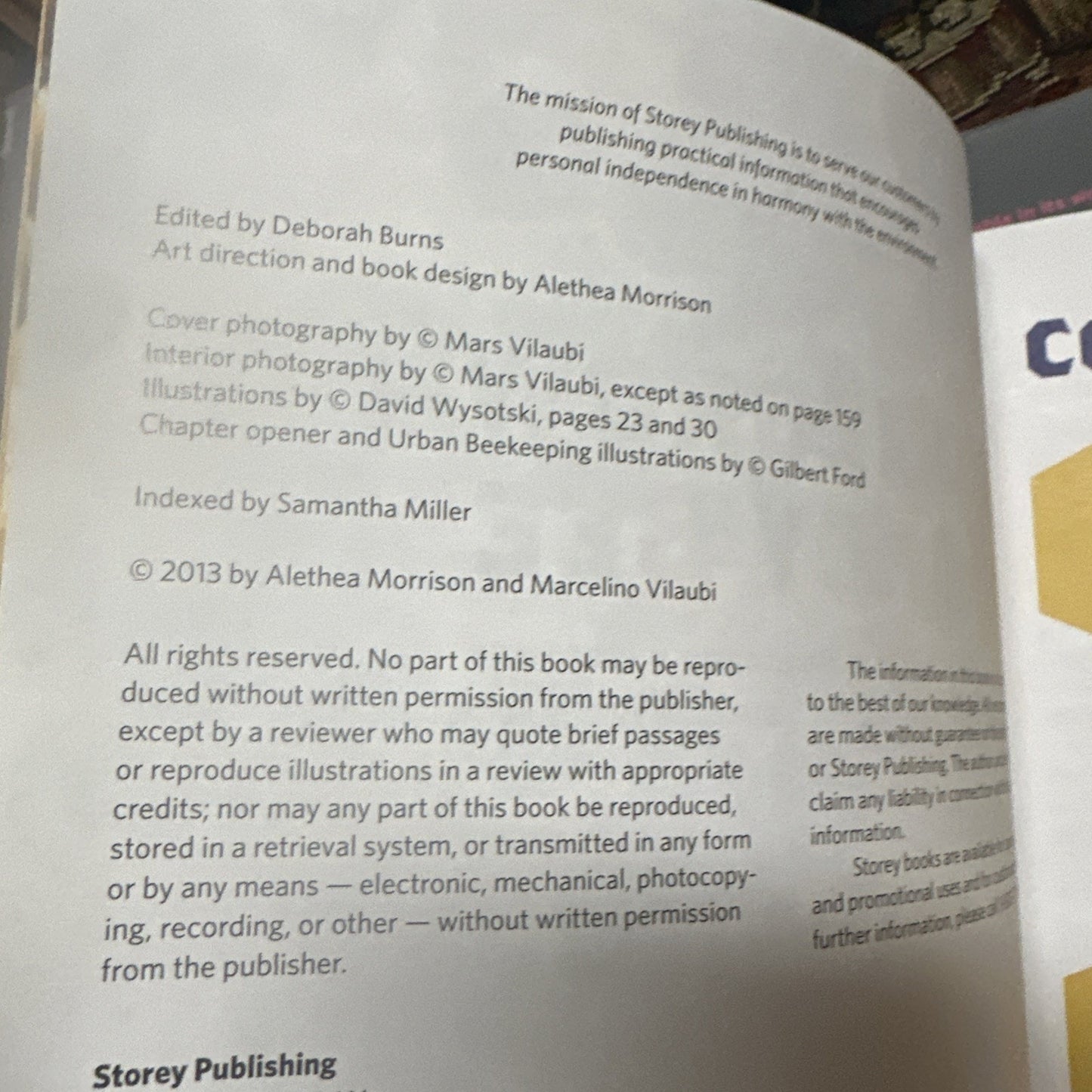 Homegrown Honey Bees A Beginner's Guide Book