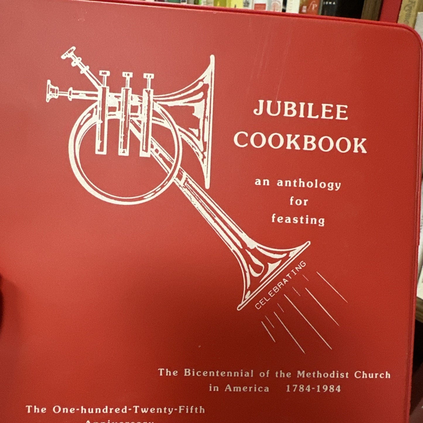 Vintage Methodist Church Jubilee Cookbook Sherman Texas Bicentennial Binder 1984