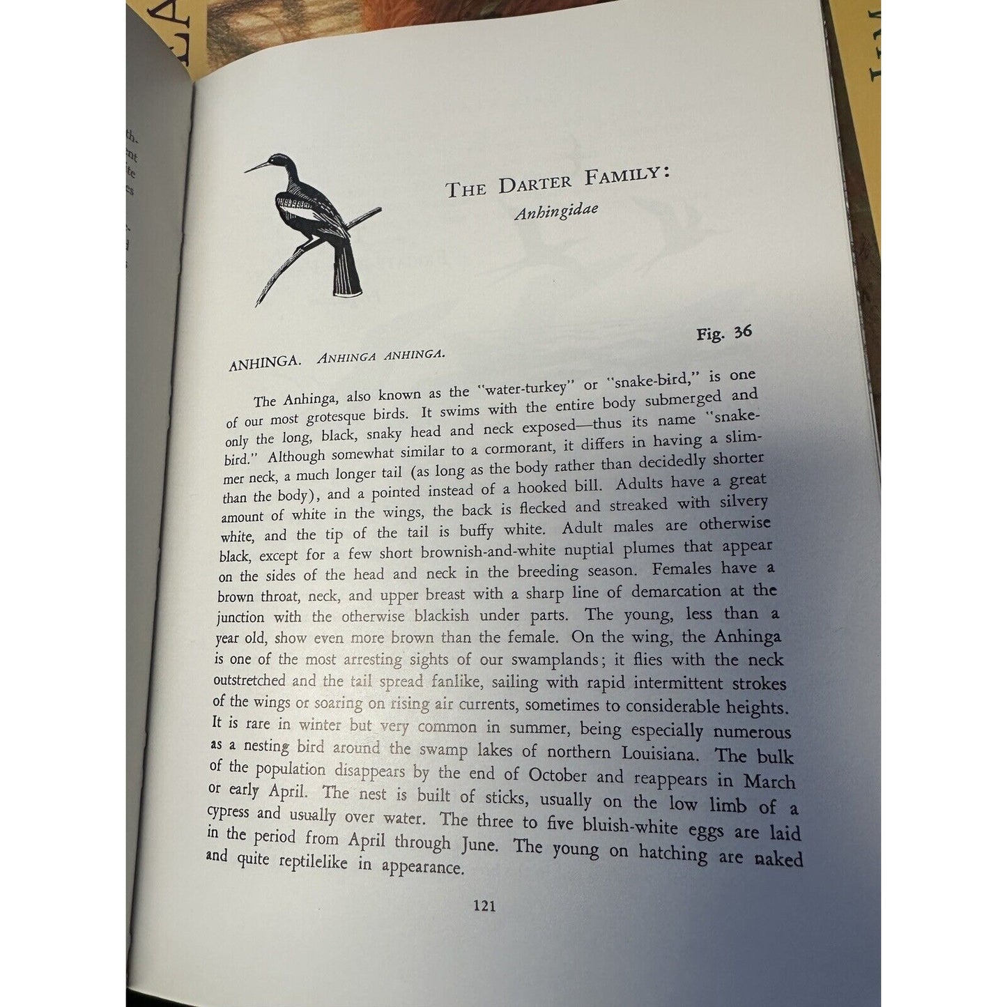Louisiana Birds George Lowery 2nd Revised Edition Hardcover