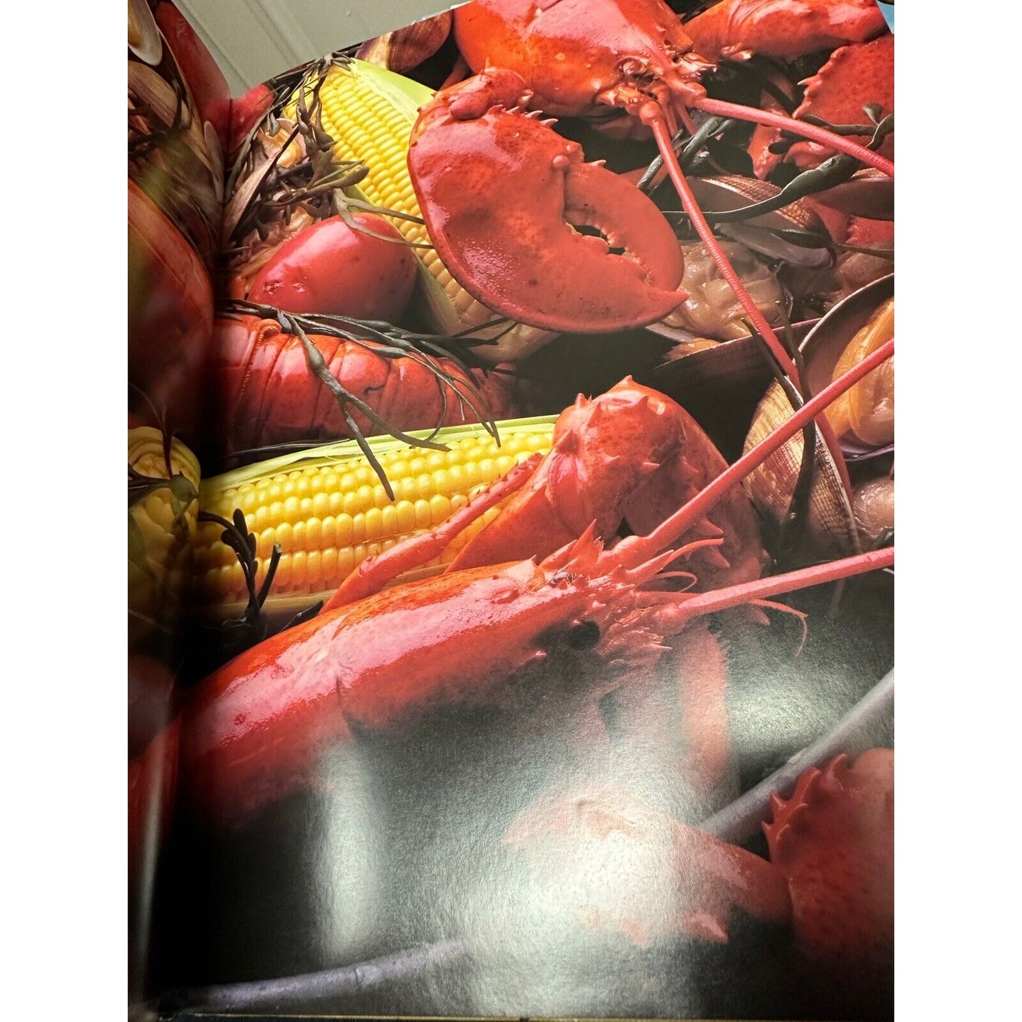 America Beautiful Cookbook HCDJ 1990