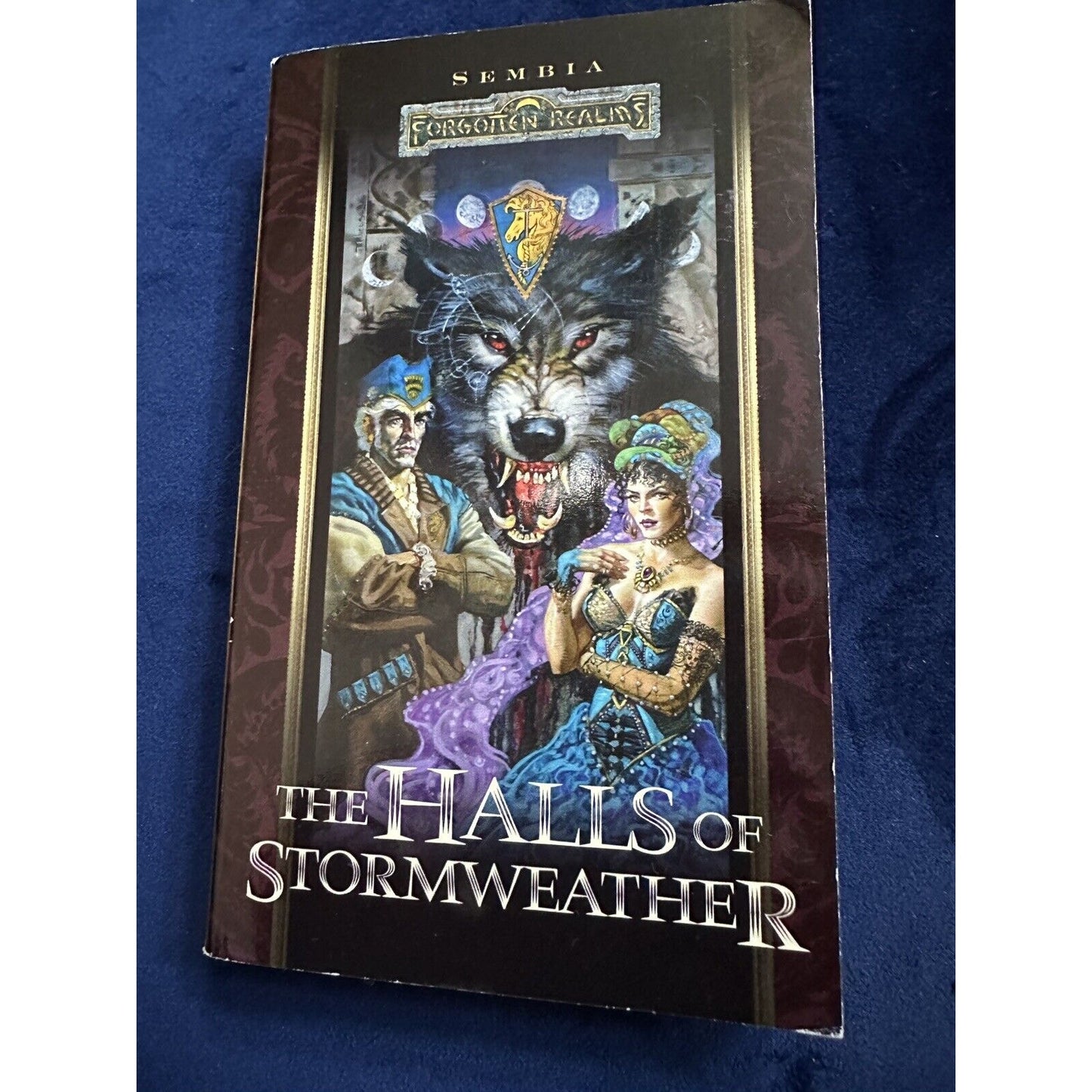 Forgotten Realms The Halls Of Stormweather Vintage PB