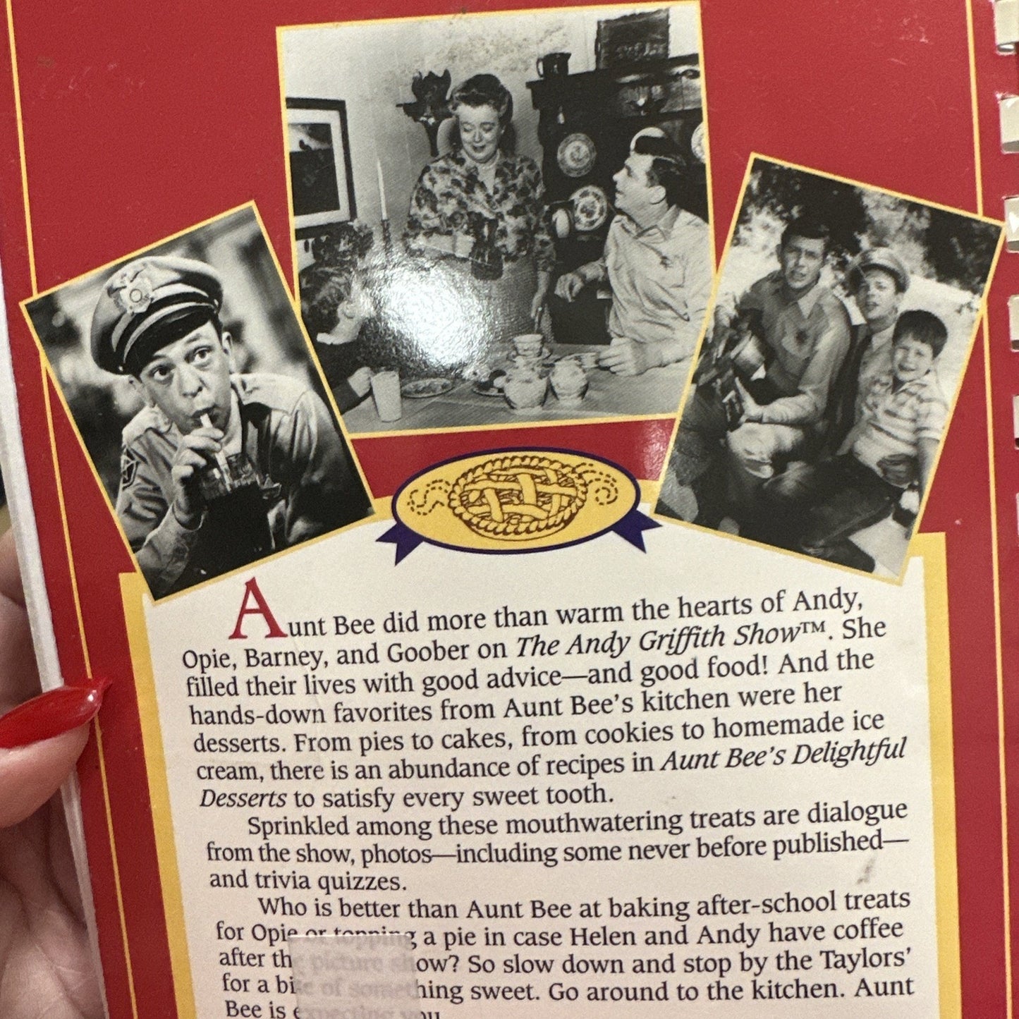 Aunt Bee's Delightful Desserts Vintage Book