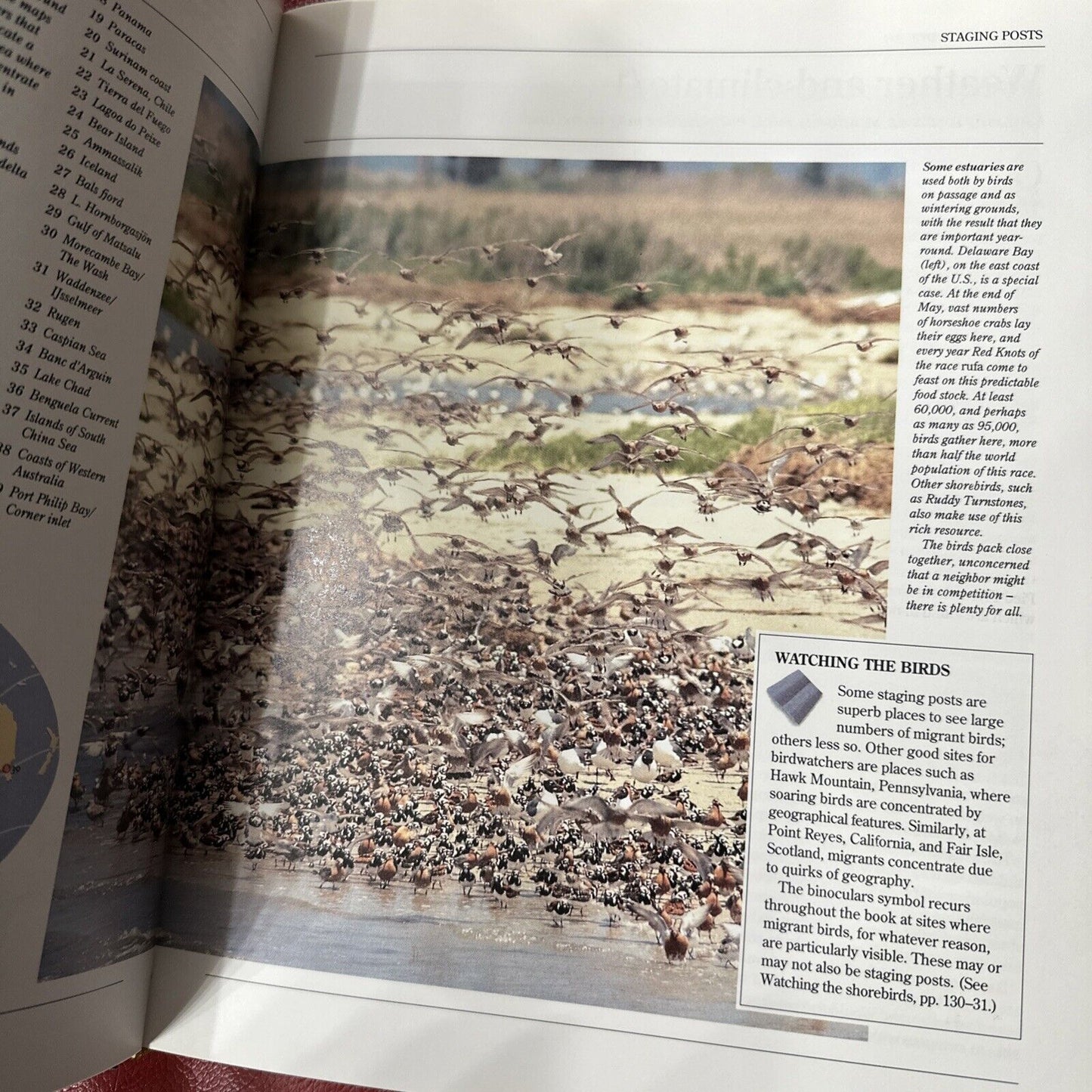 The Random House: Atlas of Bird Migration, Exceptional Condition