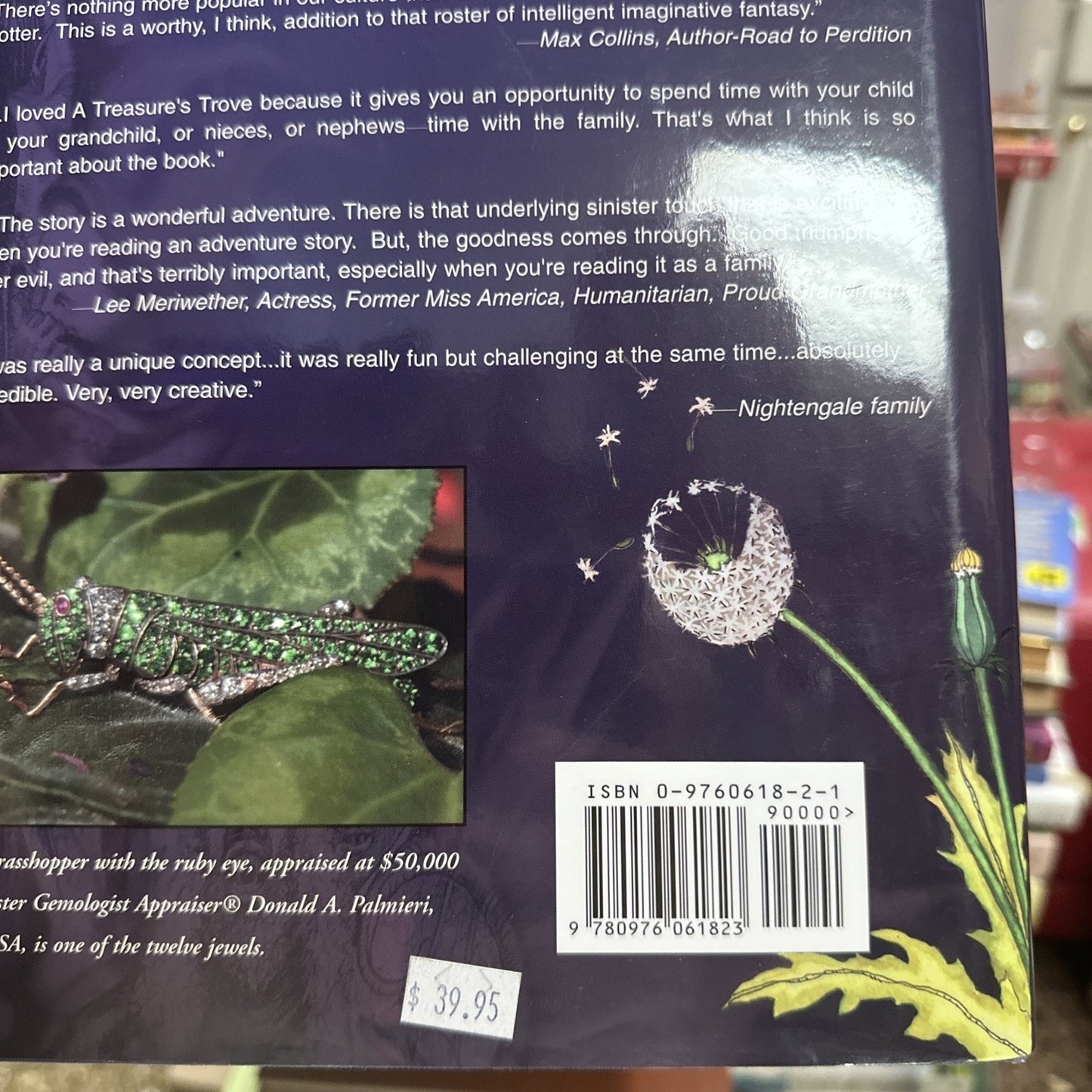 A Treasure's Trove: A Fairy Tale About Real Treasure For Parents And Children O,