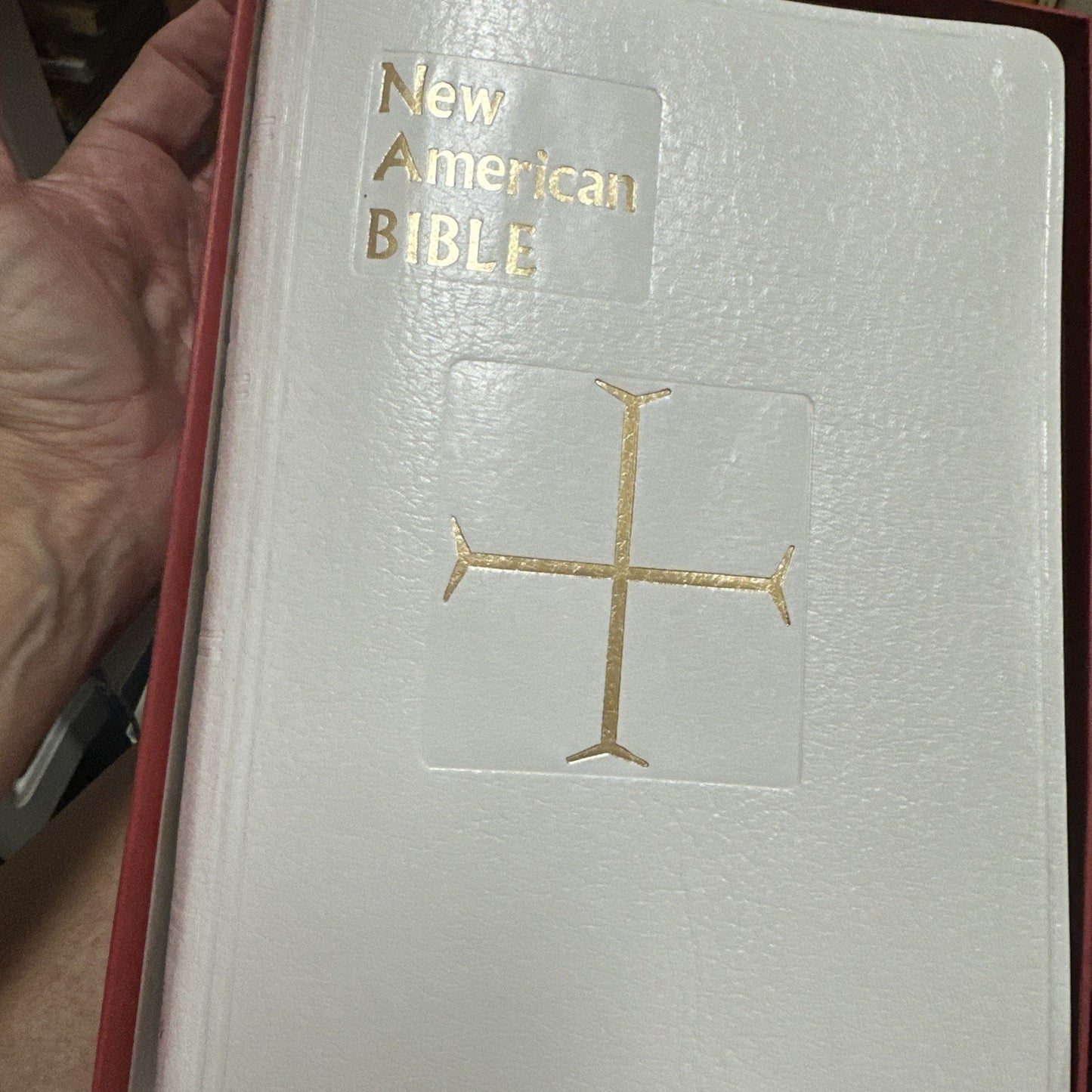 New American Bible ~ Large typeface~Illustrated Catholic Publishing Company New